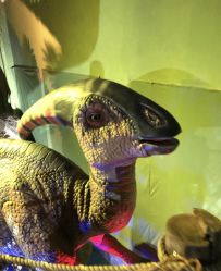 -恐龙探索乐园(磁器口店)