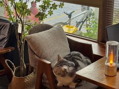 -咖法森林·咖啡  酒吧(天河店)