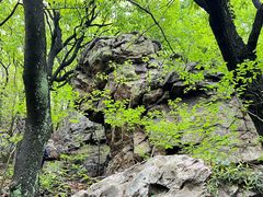 -虞山风景区