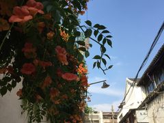 -原怡园面馆(拙政园店)