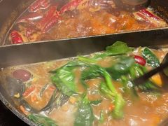 -大龙燚·旷野鲜火锅(广州首店)