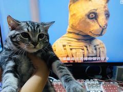 -安安宠医·安宠宠物医院