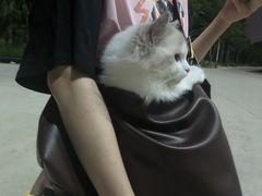 -泉州海丝野生动物世界