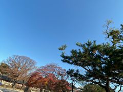 -景福宫