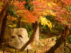 -醍醐寺
