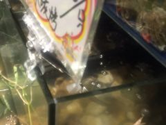 -烧货·活海鲜炭烧(湖滨商业街店)