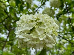-白塘生态植物园