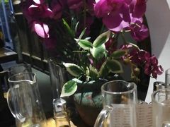 -茶花妹子云南餐厅(北大店)