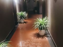 -金狮麟·新豫菜(杏石口路店)