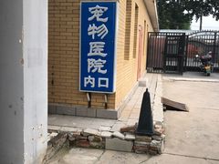 -美联众合动物医院·内科·皮肤科·外科(古城分院)