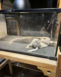 -酷嗒动物文化乐园(cutezoo西溪乐天城店)