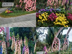 -人民公园(罗湖区)