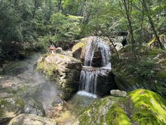 -牛背梁国家森林公园