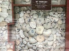 -南越王博物院(王宫展区)