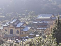 -树山生态村