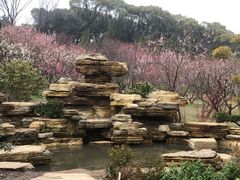 -无锡梅园公园