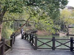 -宝岩生态观光园