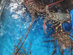 -亚龙湾8号(丁村万人海鲜广场店)