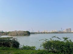-海珠湖公园