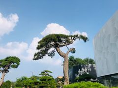 -罗红摄影艺术馆