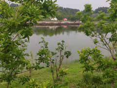 -东郊湿地公园