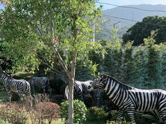 -泉州海丝野生动物世界