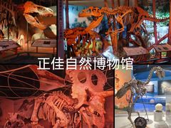 -正佳自然科学博物馆