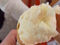 -野人先生现做冰淇淋(北京王府井东方新天地店)