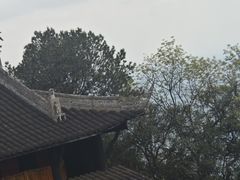 -窦圌山风景区