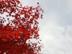 -苏州工学院(东湖校区)