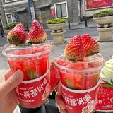 圣诞猪🐷草莓香片🍓好可爱