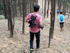 -火炉山森林公园