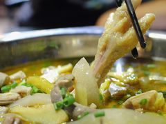 泡姜脆肚鸡-陈三娃泡姜鸡(太白北路店)