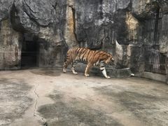-南昌动物园