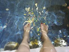 -水晶之星洗浴温泉汗蒸