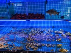 -義聚德·清真铜锅涮羊肉·烧烤(河东店)