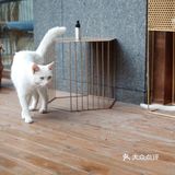 重庆|开在美容院后面的绿植咖啡厅