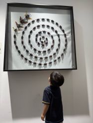 -酷嗒动物文化乐园(cutezoo西溪乐天城店)