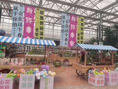 -北戴河集发农业梦想王国