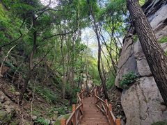 -大岭沟猕猴桃谷风景区