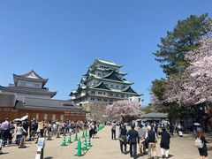 -名古屋城