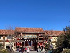 -南宫五洲植物乐园