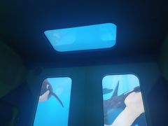 -珠海横琴国家地理探险家中心(创新方)