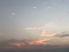 -东郊椰林
