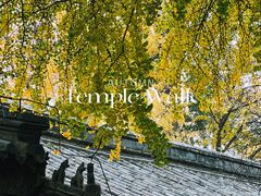 -潭柘寺景区