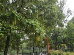 -沙河三洞古桥公园