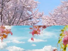 -扬州狮子楼·非遗淮扬菜(东关街店)
