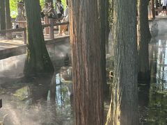 -东湖落雁景区