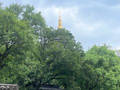 -杭州西湖柳莺里酒店·闻莺厅