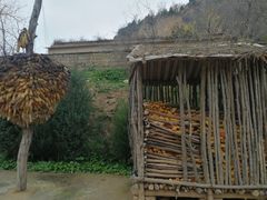 -梁家河村红色旅游区